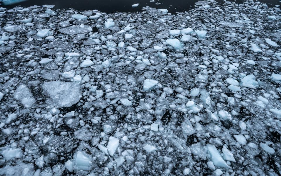 Σχηματισμός θαλάσσιου πάγου στο Weddell