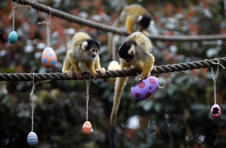 Die besten Tierfotos der Woche (25.8. – 31.8.)