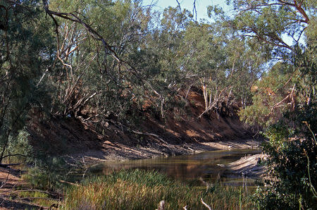 The drought-affected Darling River sits well below its banks at Pooncarie, a town in outback western New South Wales, Australia April 25, 2019. REUTERS/Tom Westbrook