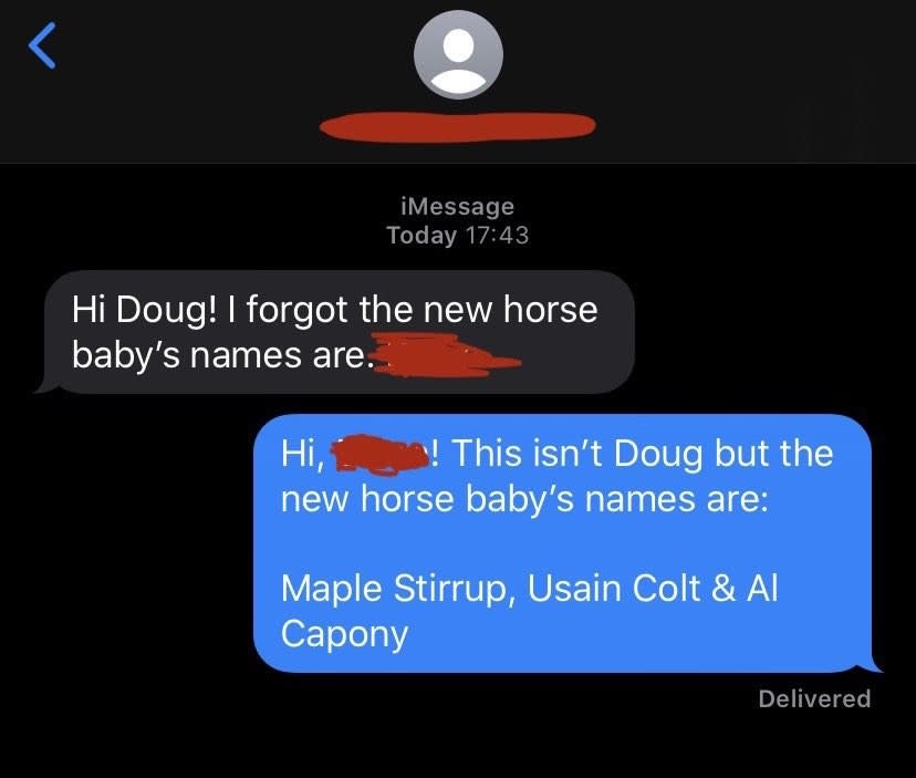 Person asks Doug for the name of the new horse baby, and someone else responds that they aren't Doug, but the names are Maple Stirrup, Usain Colt and Al Capony