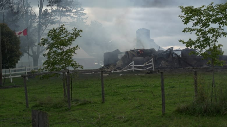 Well-known dairy farmer rebuilds after losing barns, cattle to fire