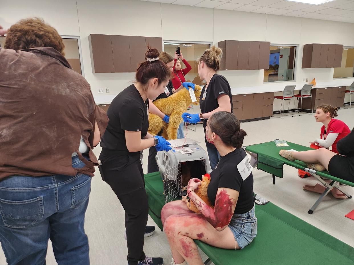 Texas Tech University Health Sciences Center schools of Medicine, Nursing, Veterinary and more participate in Disaster Day simulations including triage station, basic life-saving and bleed control, team lift skills, an AMBUS (ambulance bus) station and an animal rescue station during Thursday simulation.