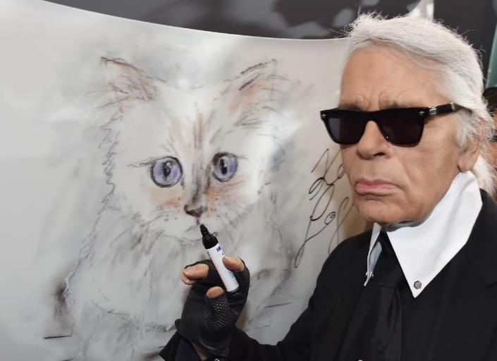 German fashion designer Karl Lagerfeld poses next to a painting of his cat "Choupette" at the Palazzo Italia in Berlin on February 3, 2015 (AFP Photo/Jens Kalaene)