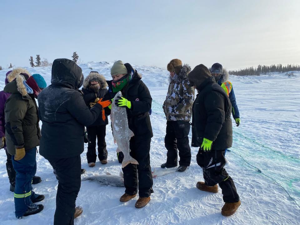 A group of students attended the fish camp hosted by the Dechinta Centre for Research and Learning and the Rainbow Coalition. The camp is back for a second year and is running for two weeks.