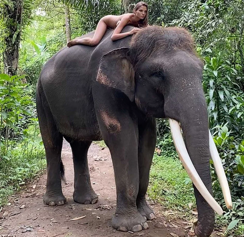  Alesya Kafelnikova posing naked on back of elephant