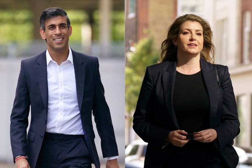 Rishi Sunak and Penny Mordaunt, his closest rival in the leadership campaign rerun (PA Wire)