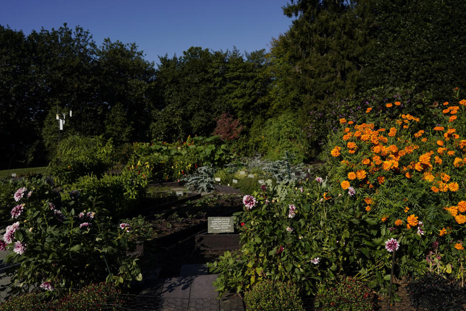 Flowers frame the entrance of the White House Kitchen Garden during the White House Fall Garden Tour in Washington, Saturday, Oct. 8, 2022. (AP Photo/Carolyn Kaster)