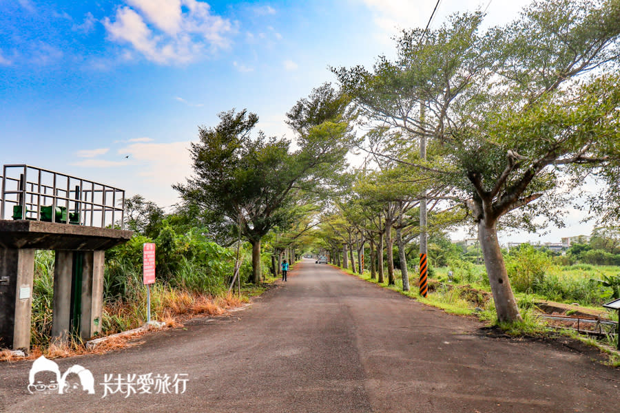 復刻版雲山水＋下埔綠色隧道