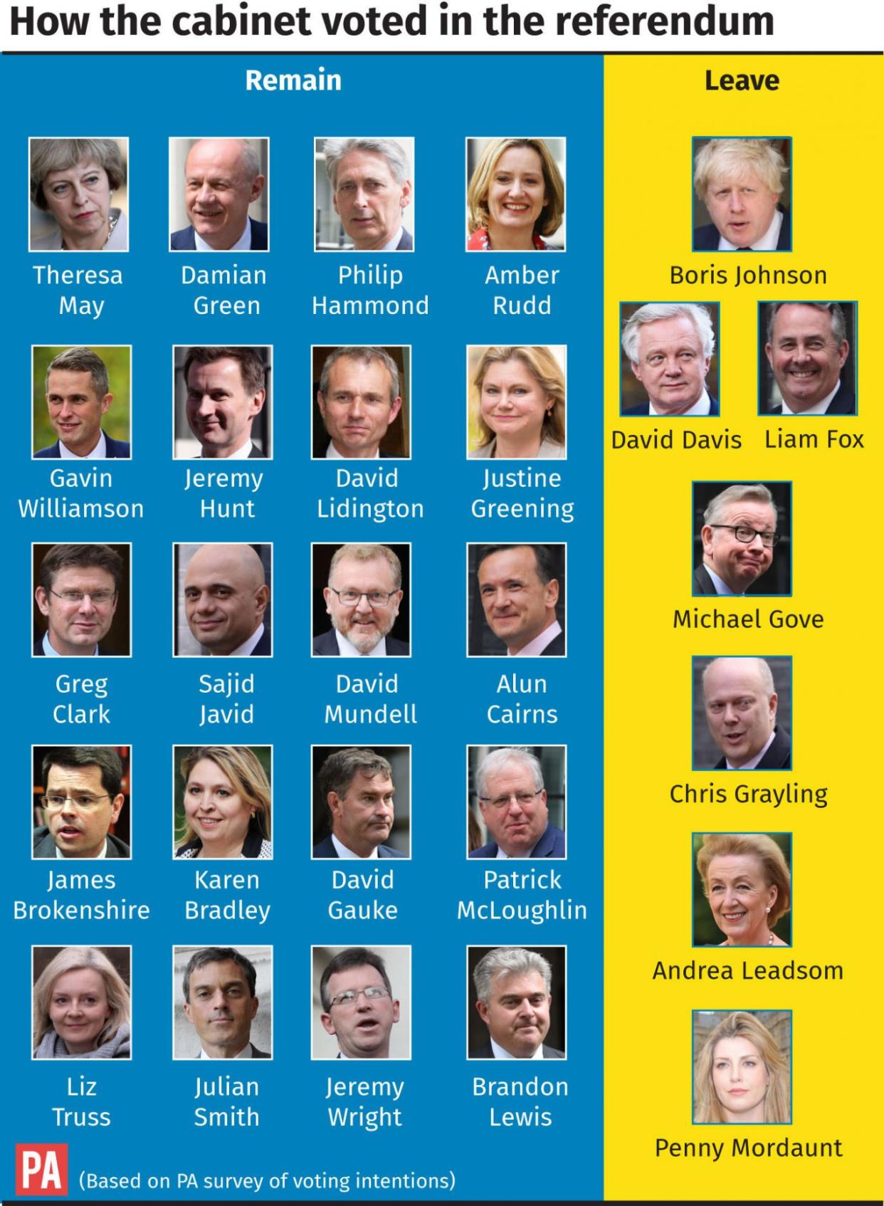 How the cabinet voted in the referendum