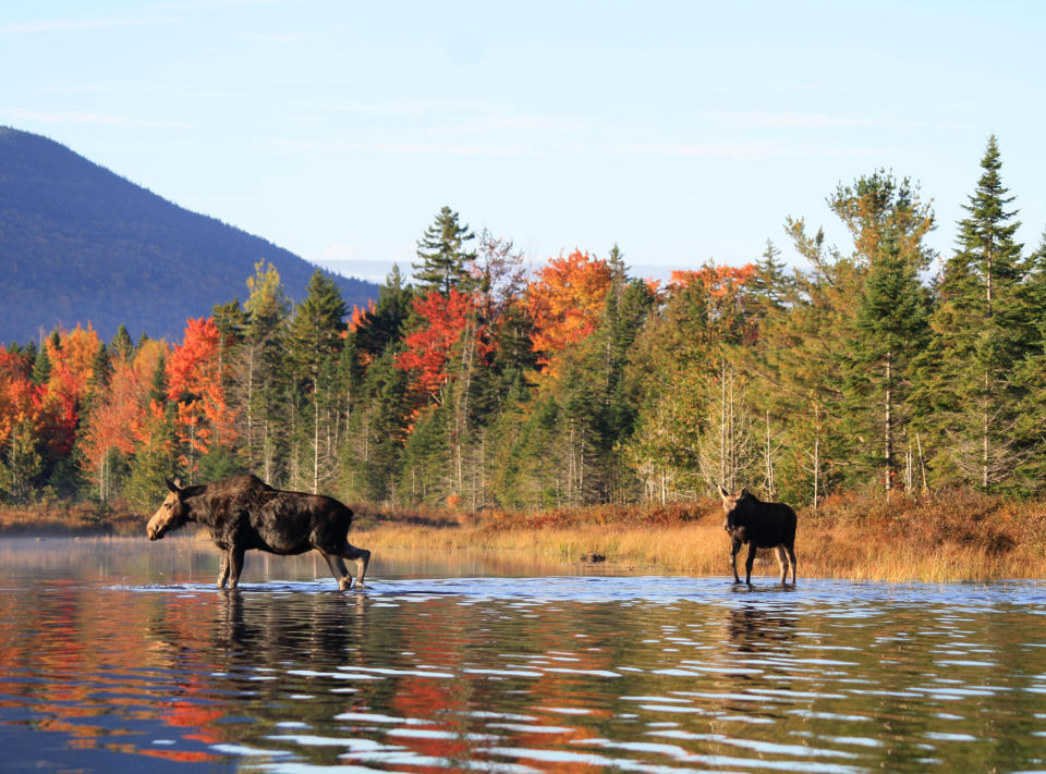 Moosehead Lake/Highlands Region, Maine