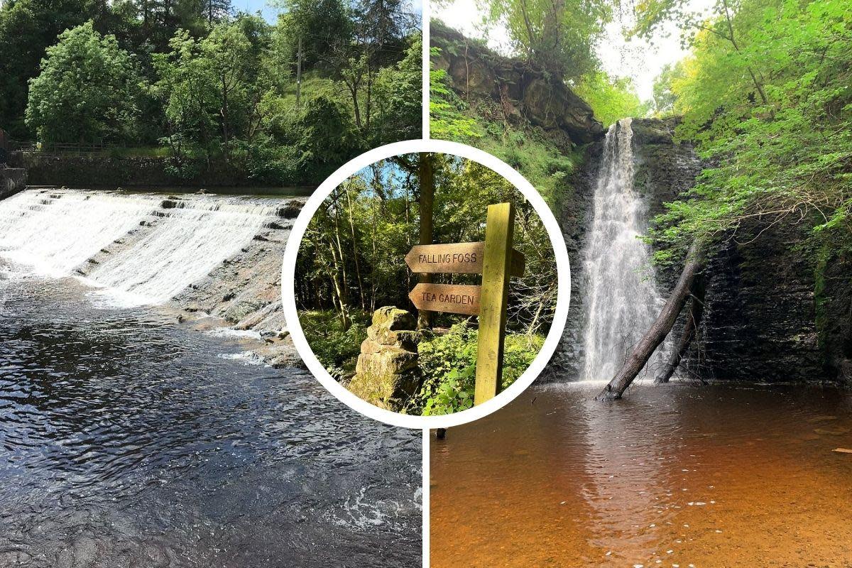 Janet's Foss was also among some of the top-rated water falls in North Yorkshire <i>(Image: Tripadvisor)</i>