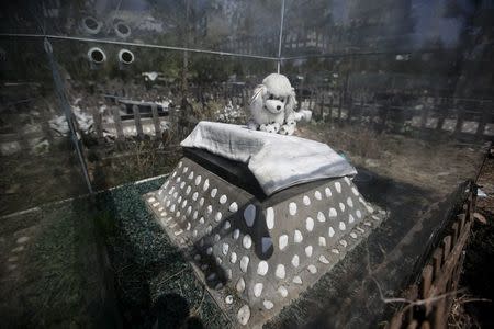 A dog doll is placed on the tomb of a pet dog ahead of the Qingming Festival at Baifu pet cemetery on the outskirts of Beijing, China March 26, 2016. REUTERS/Jason Lee