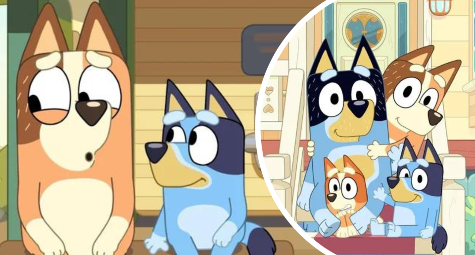 Bluey fans have shared their own stories after the emotional season finale. Credit: Ludo Studio/ABC 