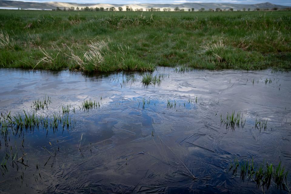 Ice tops an irrigation pond on Tommy Johnston's farm, south of Pinedale, Wyoming, on June 14, 2022.