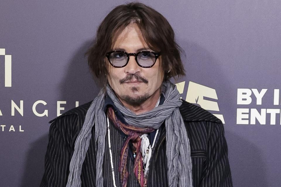 Johnny Depp attends the promotion of the animated series "Puffins"