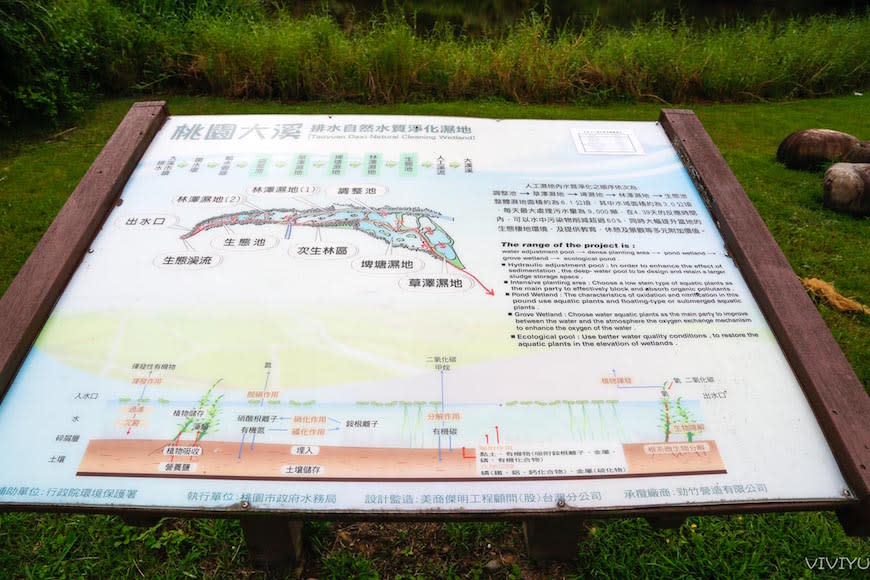 桃園大溪｜月眉人工濕地生態公園