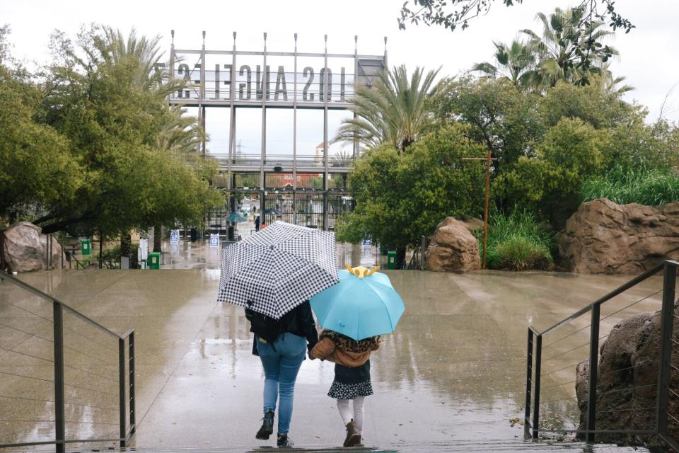 A mom and daughter walk holding hands and umbrellas