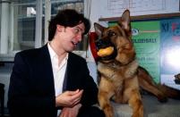 Österreichs bekanntester Polizeihund: Kommissar Rex. Für gute Arbeit belohnt Richie Moser (Tobias Moretti) Rex immer mit einer Wurstsemmel. Das liebe Herrchen starb 1998 den Serientod und wurde seither von zahlreichen weiteren Herrchen abgelöst. (Bild: Koch Media)