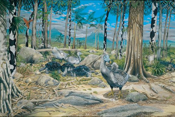 A forest scene of what Mauritius may have been like prior to the arrival of the Dutch settlers, when the dodo still lived.