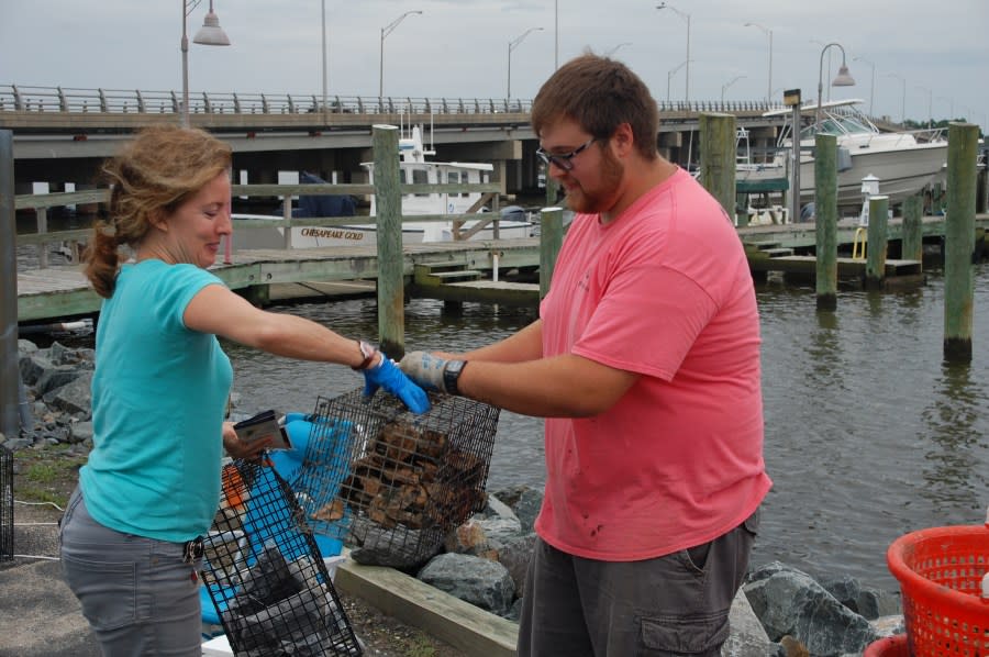<em>Ean Greene of CBF passes a growing kit to a new oyster gardener.</em> <em>(Photo courtesy Kenny Fletcher/Chesapeake Bay Foundation.)</em>