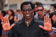 <p>‘New Jack City’ star Snipes was convicted of tax evasion in 2006, which included a charge for trying to claim a $4 million refund, and another for $7.3 million. He was sentenced to three years in prison, and was released in 2013. </p>