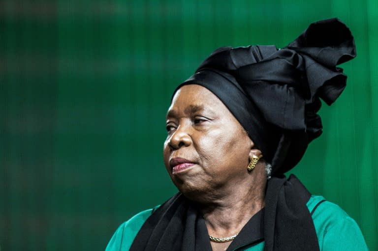 Nkosazana Dlamini-Zuma is considered a leading candidate to replace South African President Jacob Zuma as head of the ruling ANC party in December