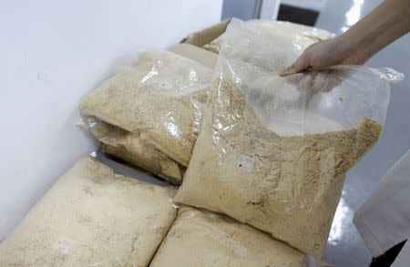 A researcher shows Lactobacillus fermented powder to be mixed with chicken feed at Otemchi Biotechnology's laboratory in Singapore April 24, 2015. REUTERS/Edgar Su