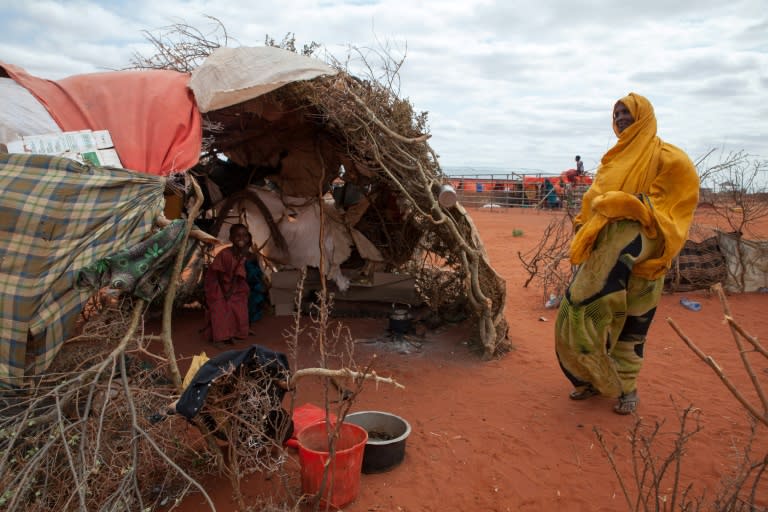 The people of Ethiopia's southeast have a name for the drought that has killed livestock and forced hundreds of thousands into camps: sima, which means "equalised". It's an appropriate name, they say, because this drought has left nothing untouched