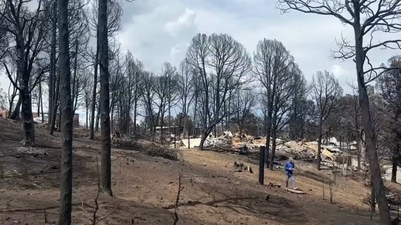 remains of burned house in forest