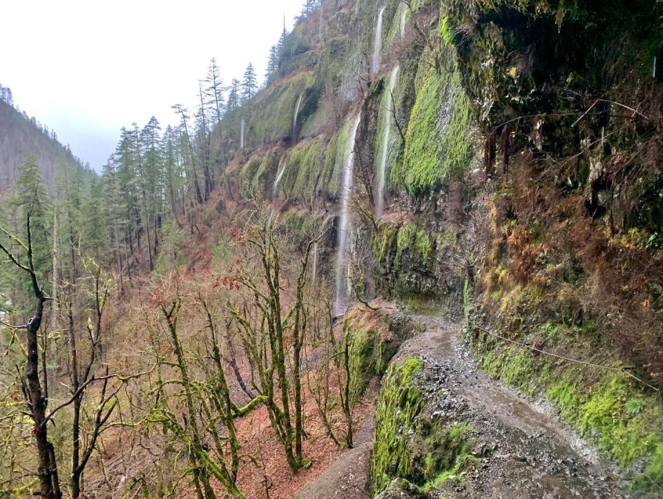 Eagle Creek Trail, en Columbia River Gorge cerca de Cascade Locks, presenta cascadas, colores otoñales y puentes altos. El sendero fue el sitio del incendio Eagle Creek de 2017, que dejó cicatrices de quemaduras a lo largo de la caminata.