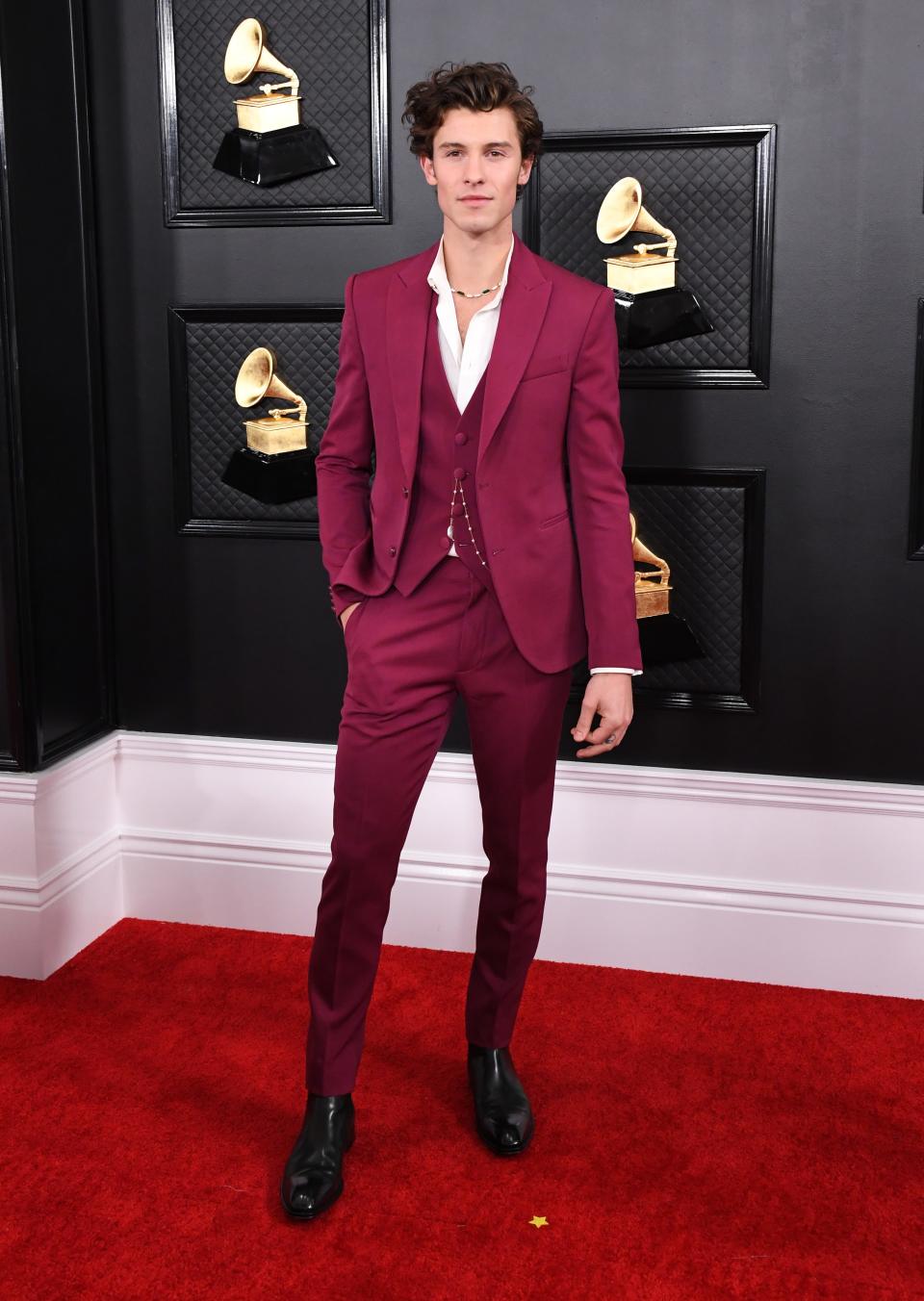 Shawn Mendes grammys