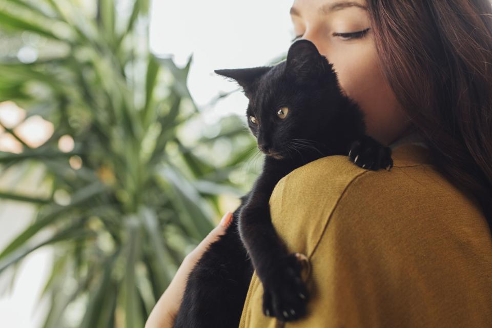 These Gorgeous Black Cat Breeds Will Have You Ready to Adopt