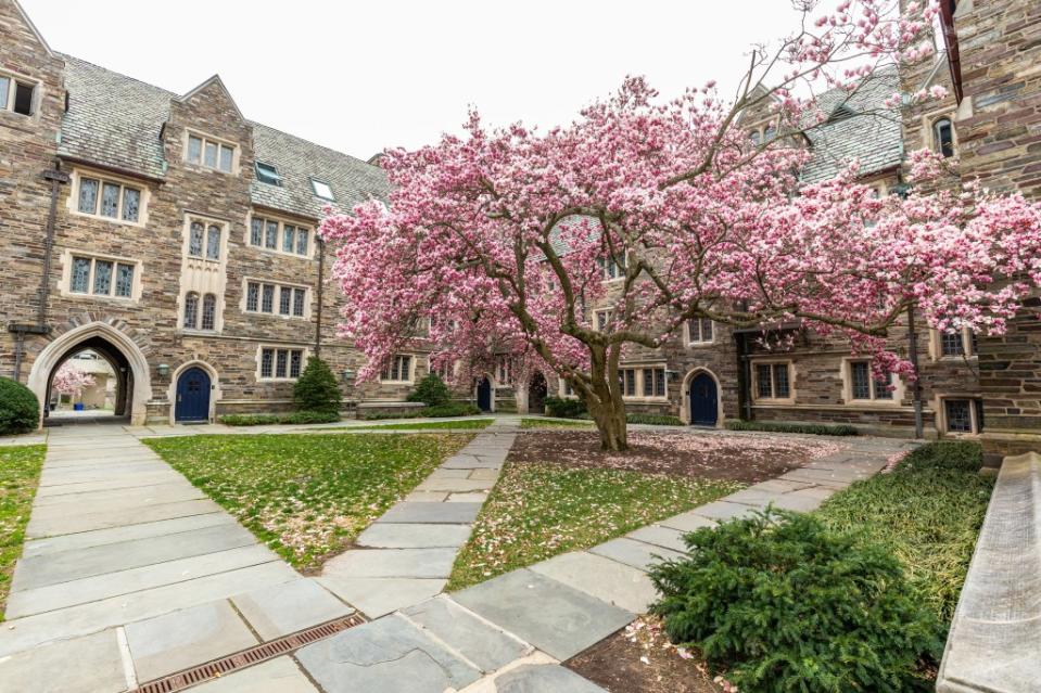 A group at Princeton plans on setting up a “Princeton Gaza Solidarity Encampment” involving at least 20 protesters in a bid for the university to divest from Israel, according to a trove of docs obtained by The Post. PhotoSpirit – stock.adobe.com