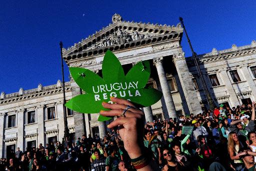 Manifestación a favor de la legalización de la marihuana frente al parlamento de Montevideo el 10 de diciembre del 2013 (AFP/Archivos | Pablo Porciuncula)