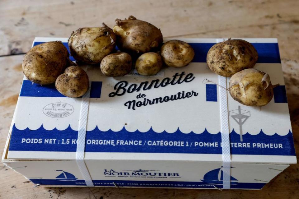 france agriculture gastronomy potatoe