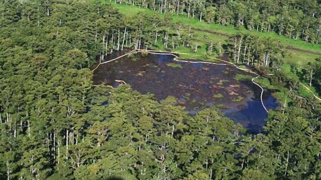 A nearly 400-foot deep sinkhole in Louisiana has swallowed all of the trees in its area and enacted a mandatory evacuation order for about 150 residences for fear of potential radiation and explosions. The 400-square-foot gaping hole is in Assumption Parish, La., about 50 miles south of Baton Rouge. (ABC News)