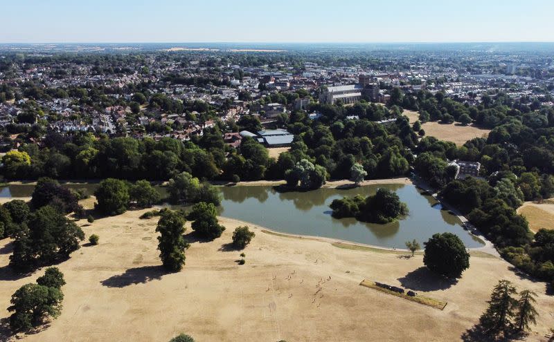 Dried out ground in Verulamium Park, following a long period of little rainfall and hot weather