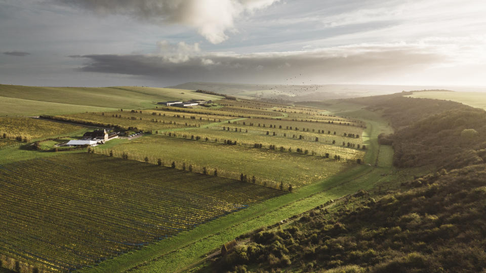 Aerial view of Rathfinny, with Flint Barns