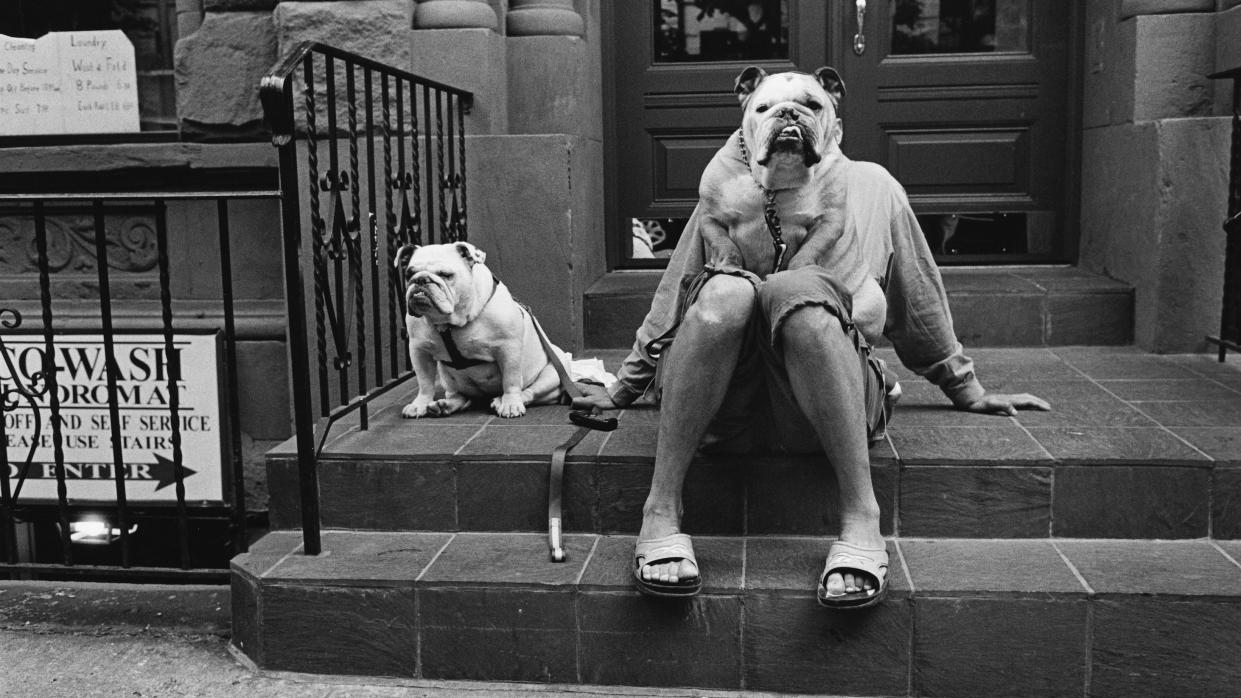  Elliott Erwitt exhibition . 