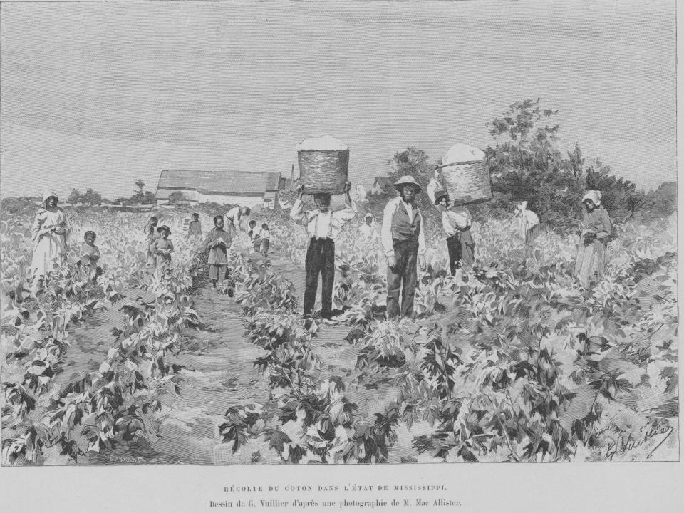 Engraving depicting African American enslaved workers picking cotton from the fields of a plantation, USA, circa 1830-1880.