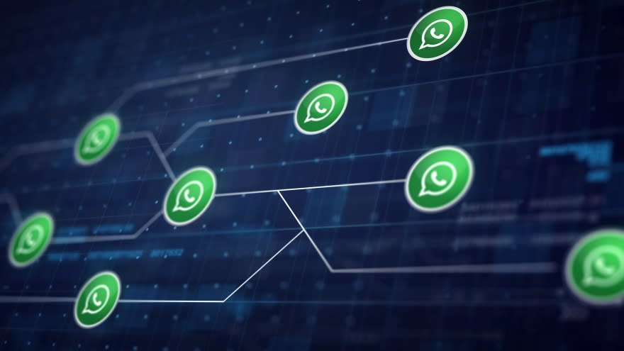 Contrariamente a los rumores, WhatsApp no husmea en tus conversaciones privadas. 