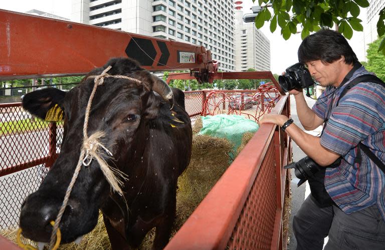 Japanese farmers bring a cow to the front of the agriculture ministry in Tokyo, on June 20, 2014