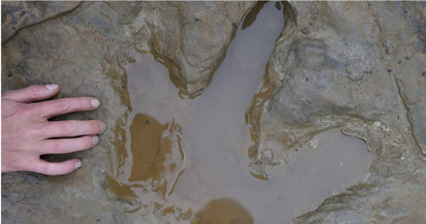 4歲女童懷爾德發現的恐龍腳印化石相當清晰。（示意圖／達志／美聯社）