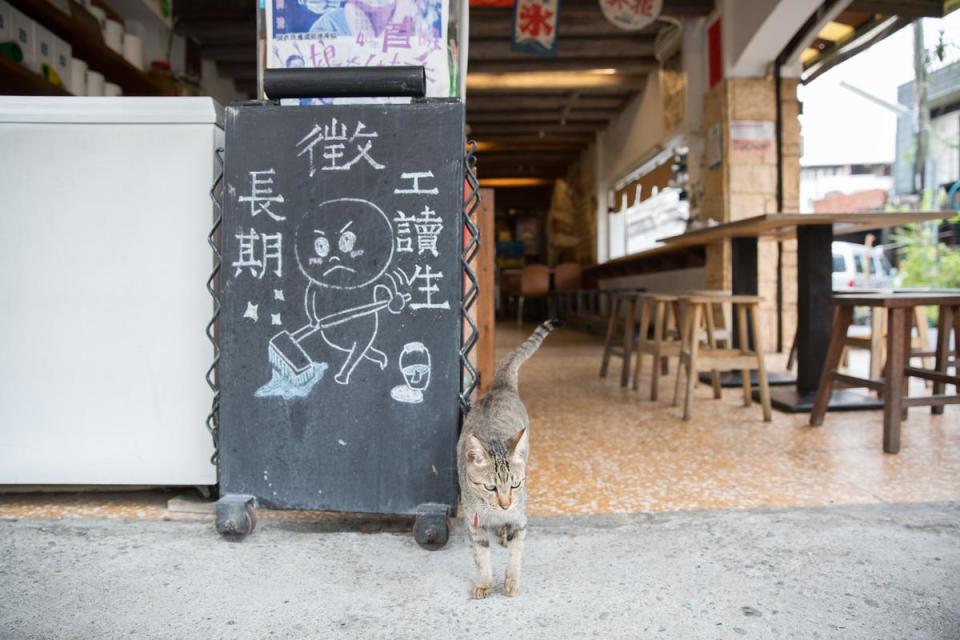 常美冰店的店貓布可人人好，常在人腳邊磨蹭撒嬌，或霸佔客人機車讓人只好留下來再吃一根枝仔冰。