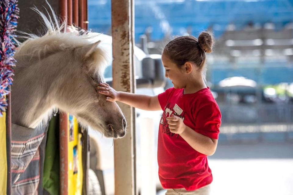 Harmony Reyes, 6, of Earl Legette Elementary School pets Dazzy a miniature horse from Range View 4H in Wilton on Thursday during the opening day of the County Fair at Cal Expo.