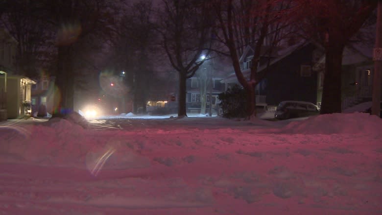 Nova Scotia blizzard leads to school closures, flight cancellations