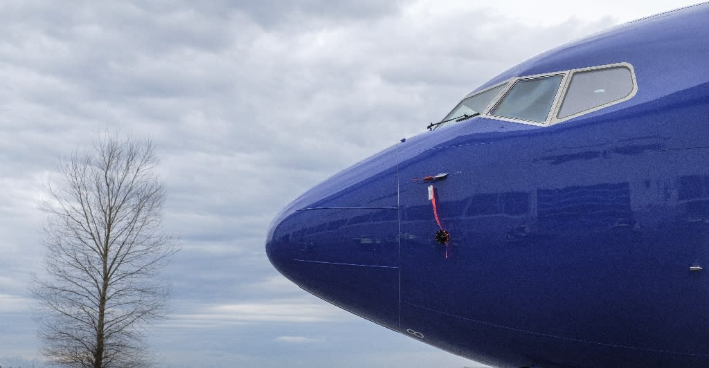 A number of countries have grounded their Boeing 737 MAX planes (Picture: AFP)