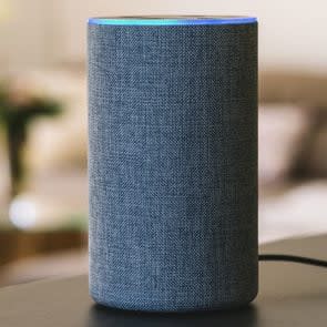 voice controlled smart speaker