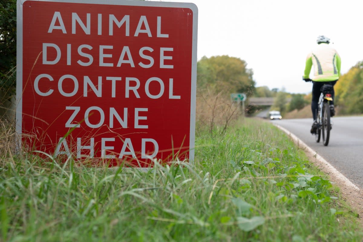 Bird flu was detected in two people in the UK in May (PA Archive)