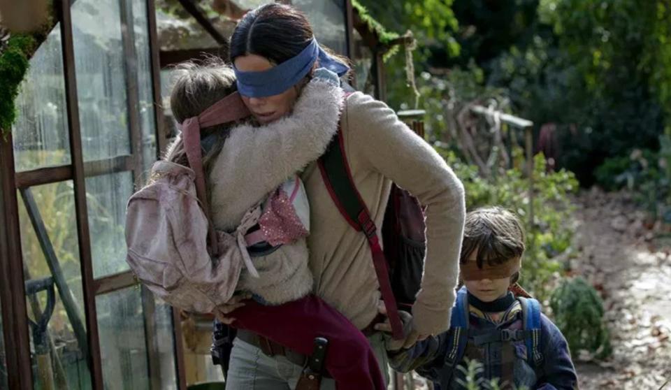 bird box